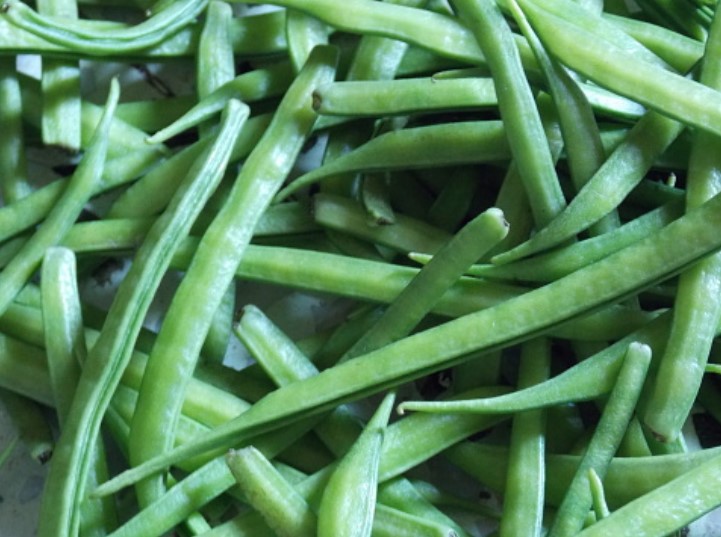 hama dan penyakit kacang buncis