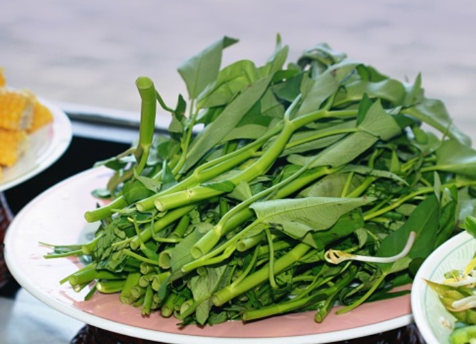 manfaat sayur kangkung untuk kesehatan