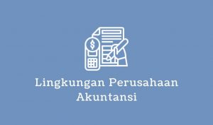 lingkungan perusahaan akuntansi