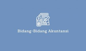 bidang bidang akuntansi