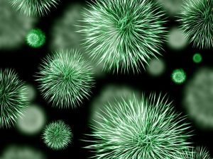 perbedaan archaebacteria dan eubacteria