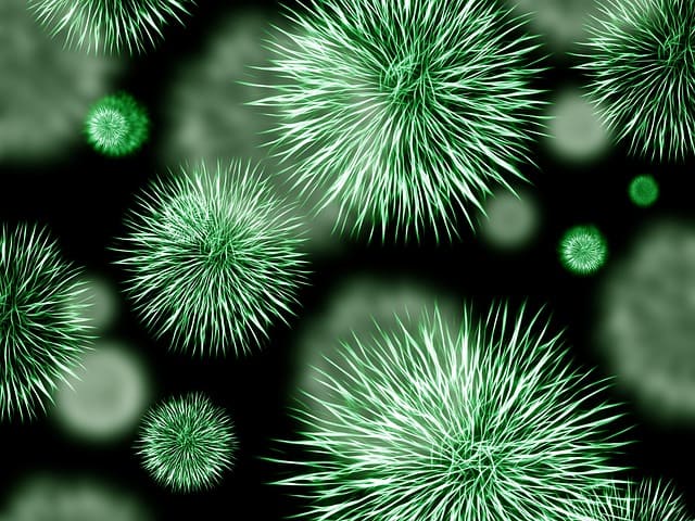 perbedaan archaebacteria dan eubacteria
