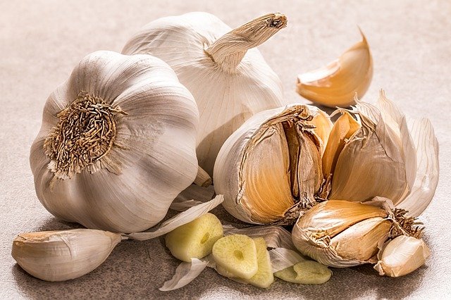 klasifikasi dan morfologi bawang putih