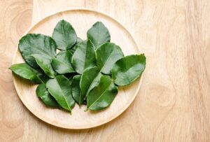 manfaat daun jeruk purut