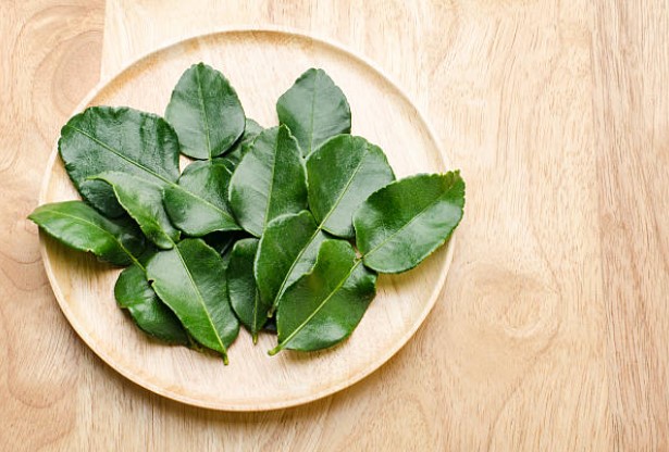 manfaat daun jeruk purut