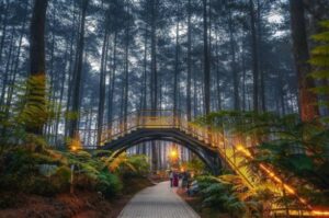 tempat wisata kuliner di bandung