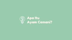 apa itu ayam cemani